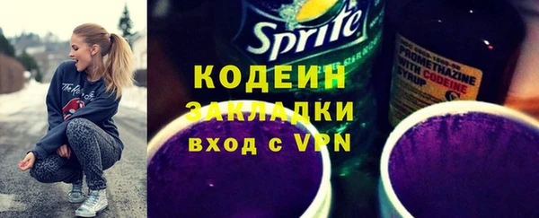 индика Алексин