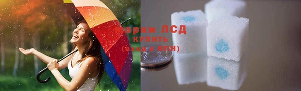 индика Алексин