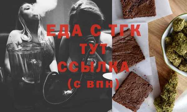 индика Алексин