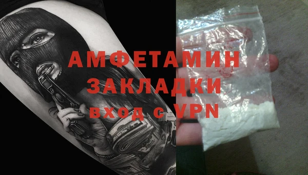 индика Алексин