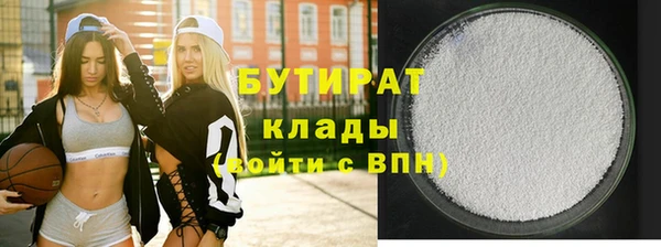 индика Алексин